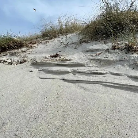 Appartementhaus 3 - Urlaub Zwischen Meer&bodden Apartment *